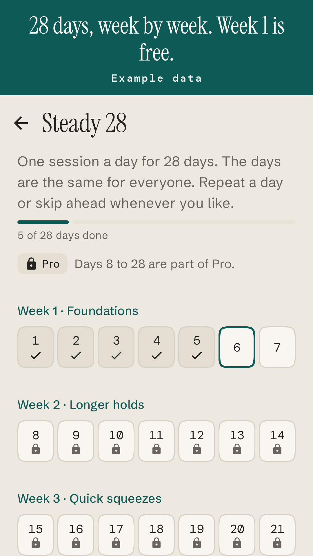 The Steady 28 card